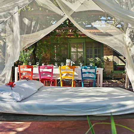 The Olive Yard House Apartment