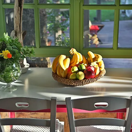 The Olive Yard House Appartement *